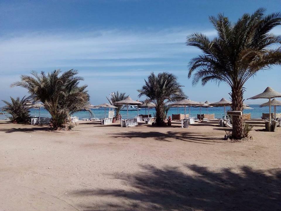 Apartament Apartman Eva Hurghada Zewnętrze zdjęcie